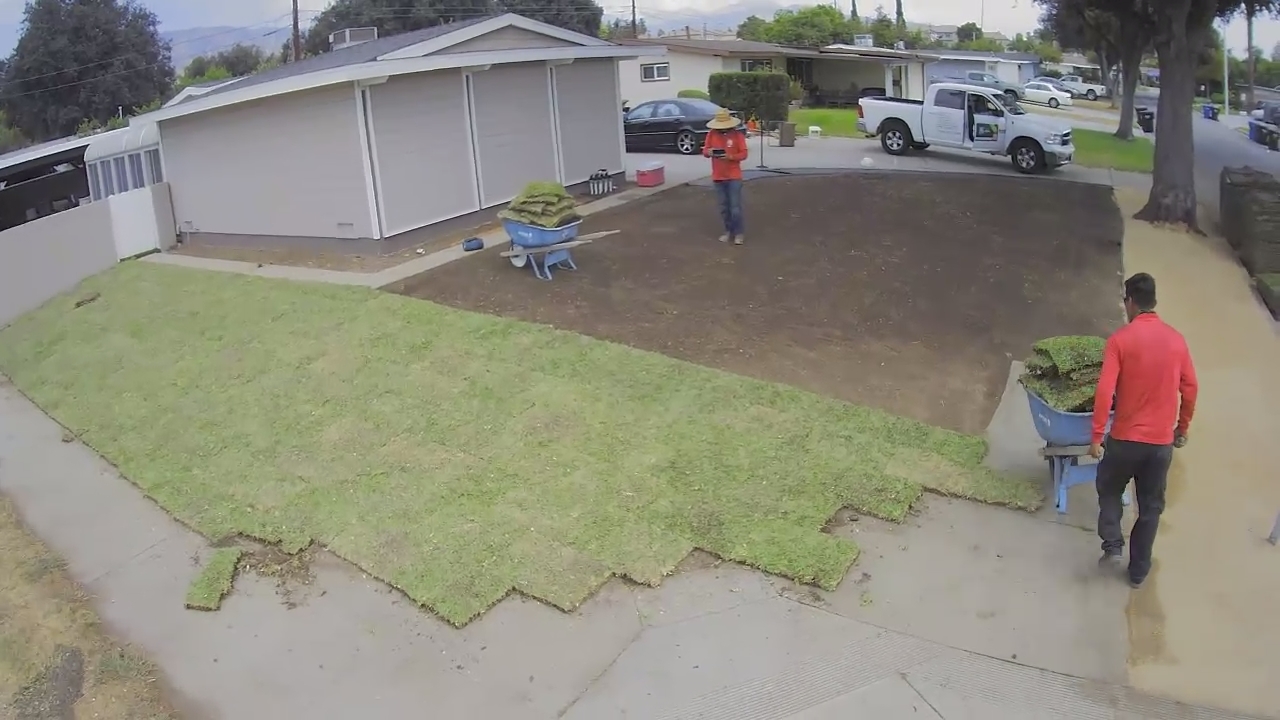 Para Artificial Grass